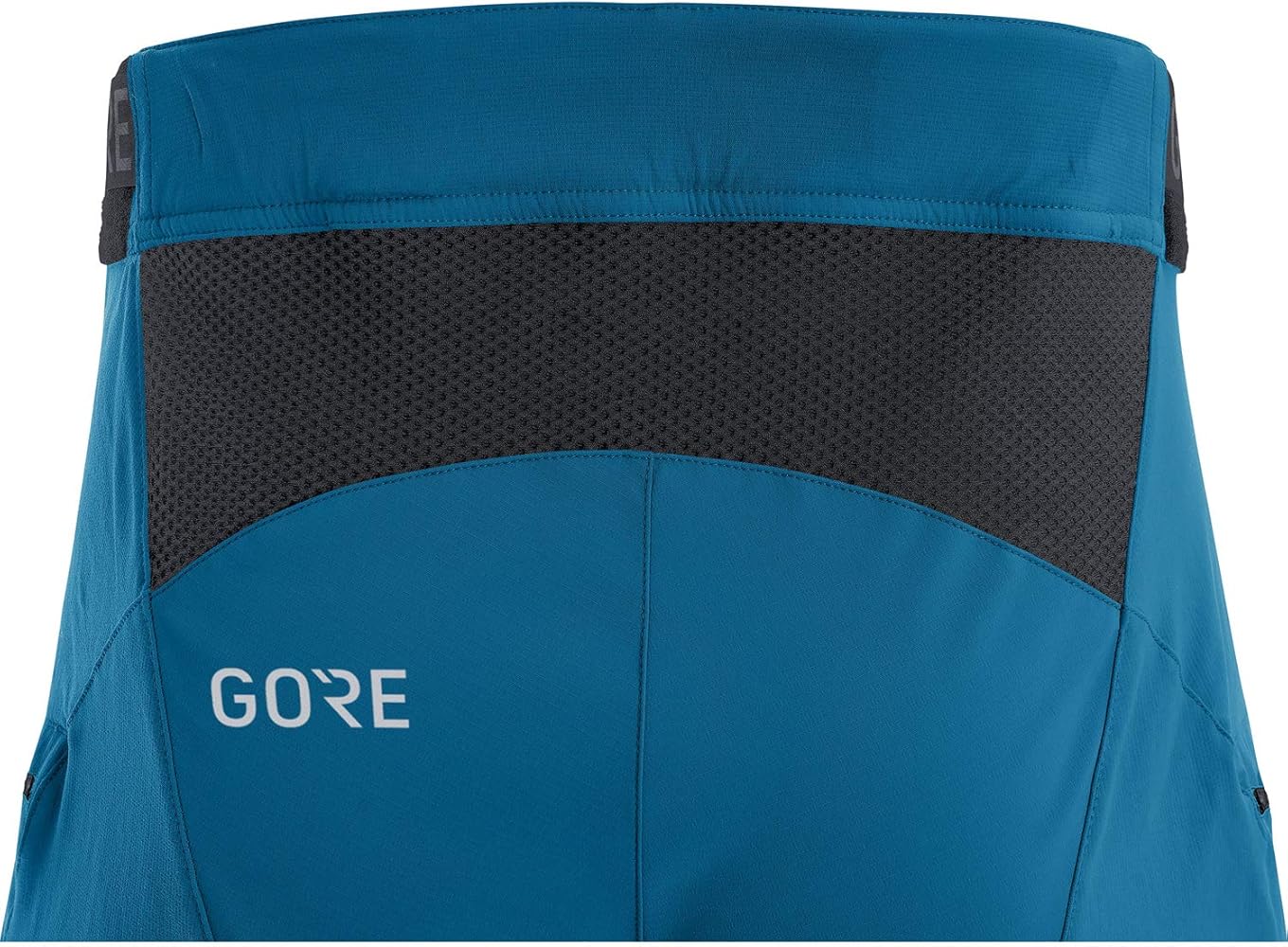 Amazon.com : GORE WEAR Mens C5 All Mountain Shorts, Sphere Blue, X